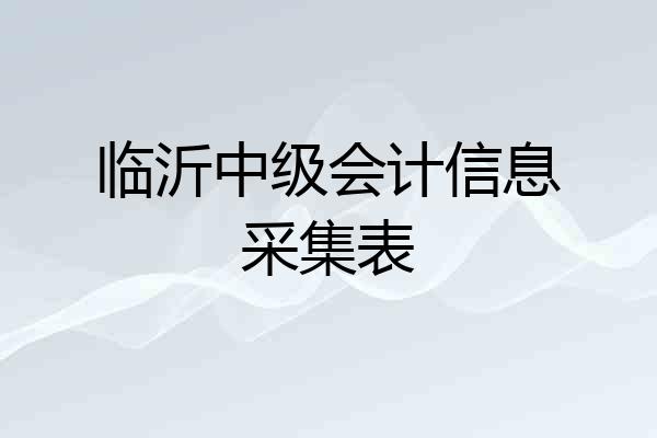 临沂中级会计信息采集表