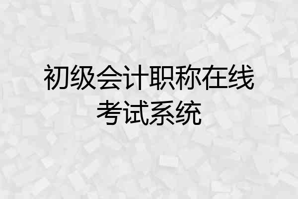 初级会计职称在线考试系统