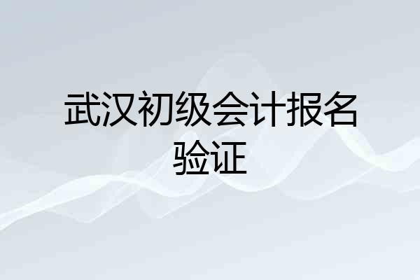 武汉初级会计报名验证