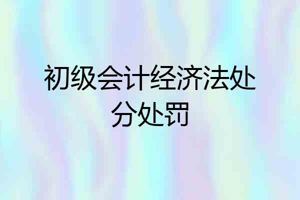 初级会计经济法处分处罚