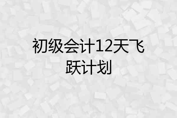 初级会计12天飞跃计划