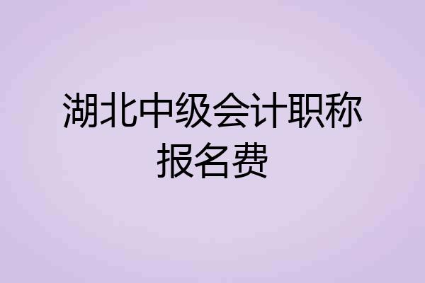湖北中级会计职称报名费