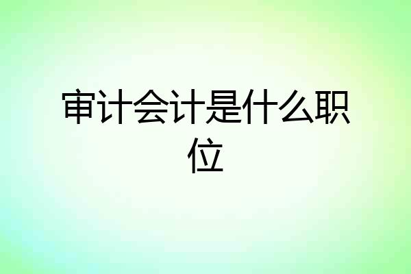 审计会计是什么职位