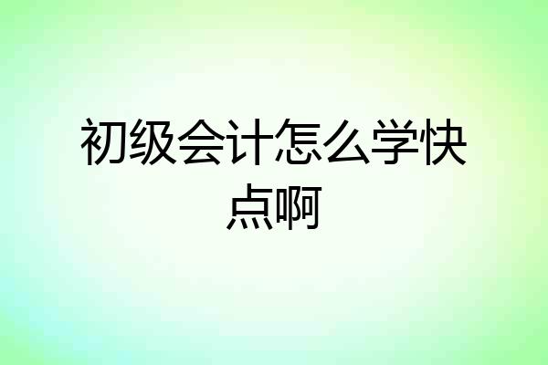 初级会计怎么学快点啊