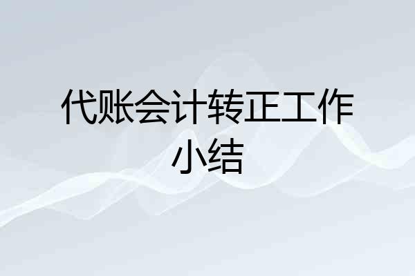 代账会计转正工作小结