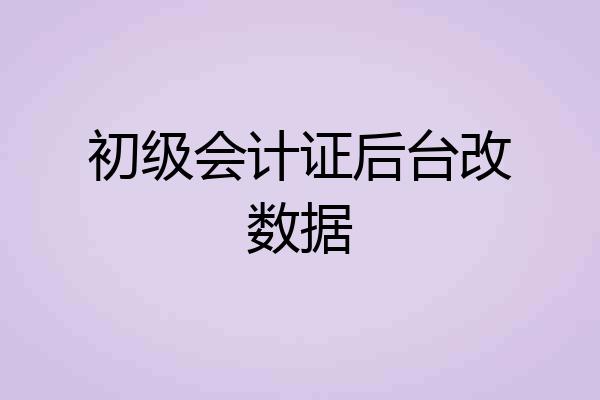 初级会计证后台改数据