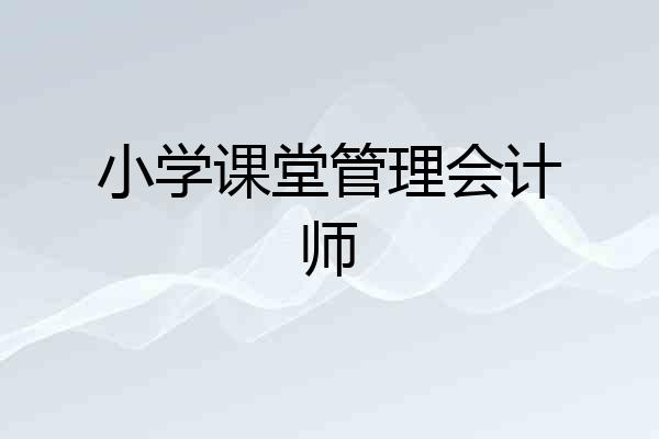 小学课堂管理会计师
