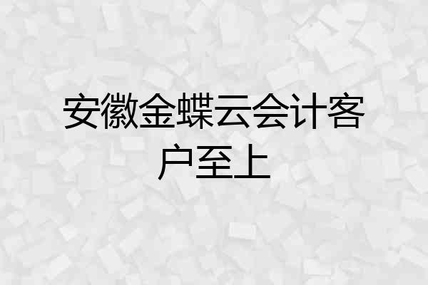 安徽金蝶云会计客户至上