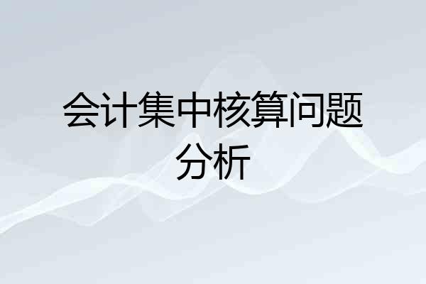 会计集中核算问题分析
