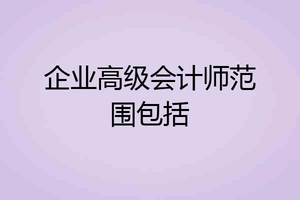 企业高级会计师范围包括