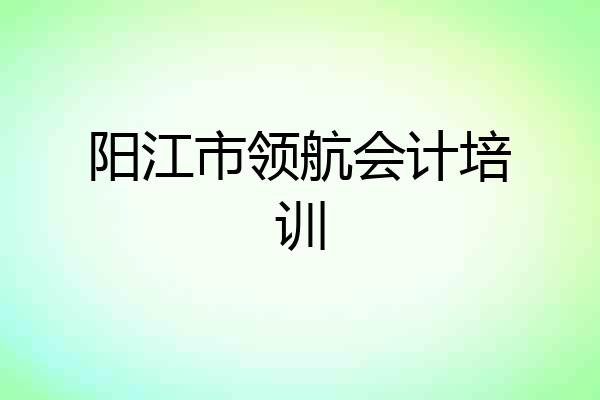 阳江市领航会计培训