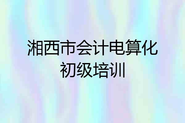 湘西市会计电算化初级培训