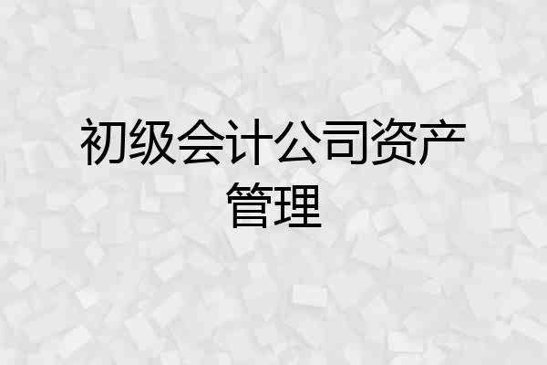 初级会计公司资产管理