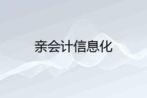 亲会计信息化