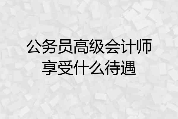 公务员高级会计师享受什么待遇