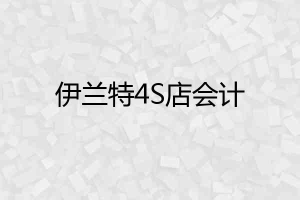 伊兰特4S店会计