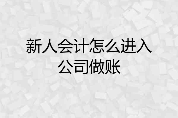 新人会计怎么进入公司做账