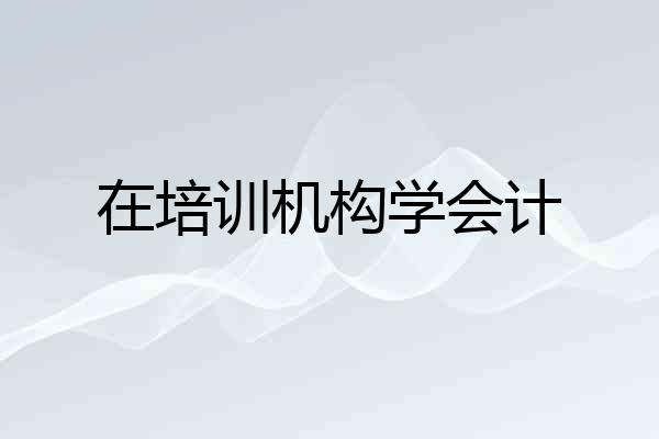 在培训机构学会计