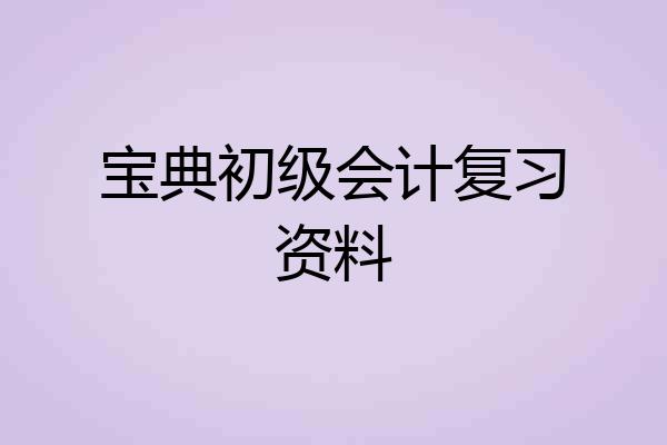 宝典初级会计复习资料