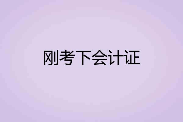 刚考下会计证