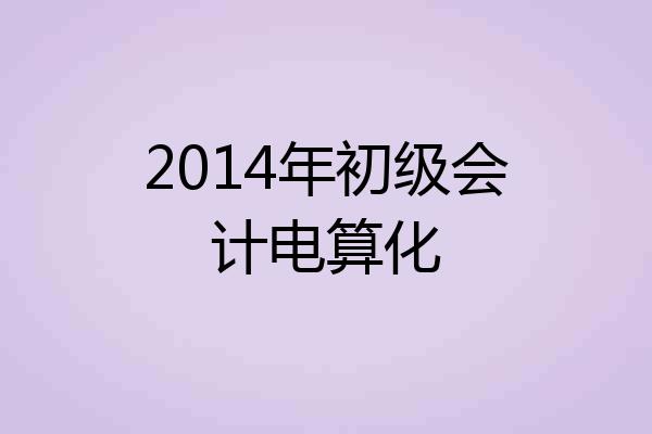2014年初级会计电算化