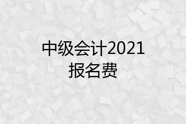 中级会计2021报名费