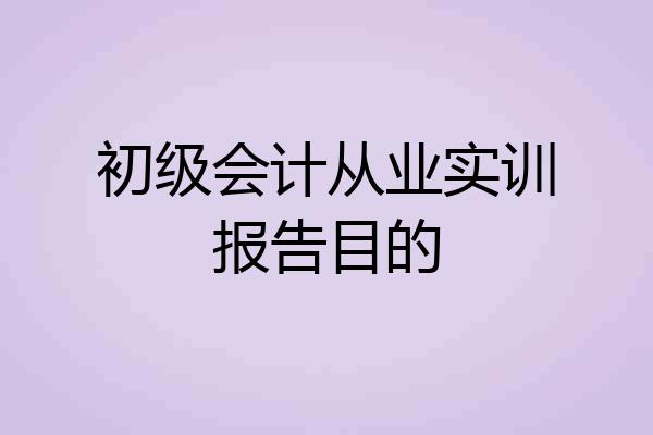 初级会计从业实训报告目的