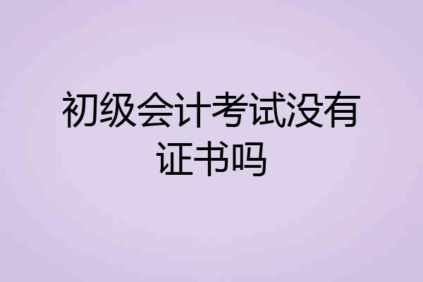 初级会计考试没有证书吗