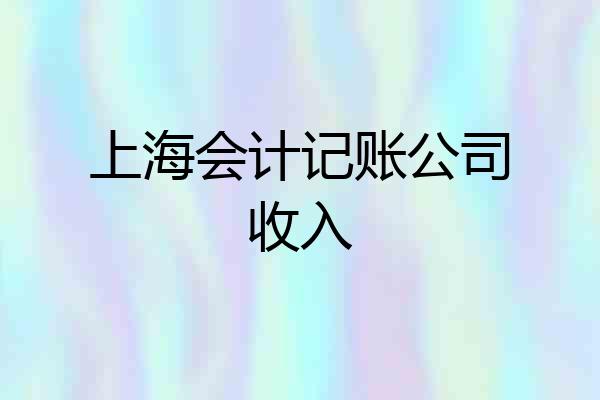 上海会计记账公司收入