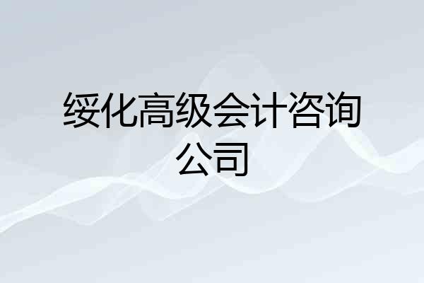 绥化高级会计咨询公司