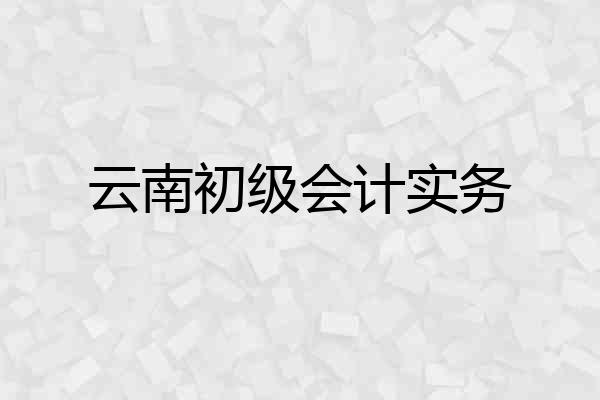 云南初级会计实务