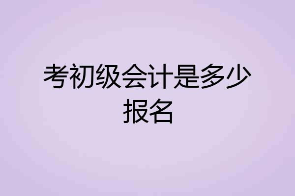 考初级会计是多少报名