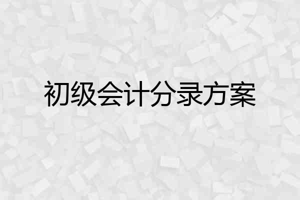 初级会计分录方案