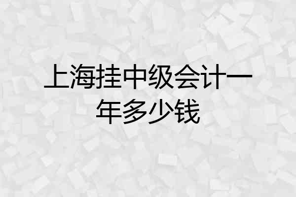 上海挂中级会计一年多少钱