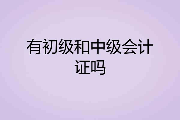 有初级和中级会计证吗
