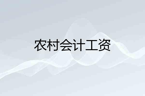 农村会计工资