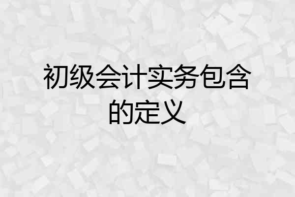 初级会计实务包含的定义