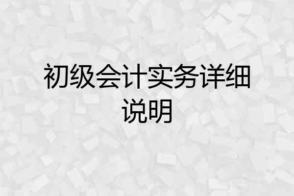 初级会计实务详细说明