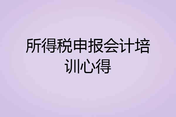 所得税申报会计培训心得