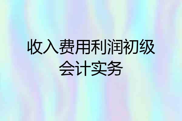 收入费用利润初级会计实务