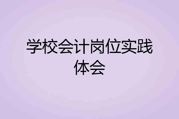 学校会计岗位实践体会