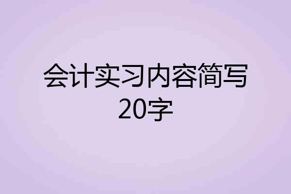 会计实习内容简写20字