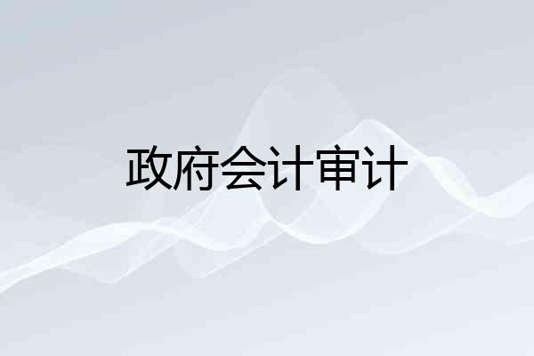 政府会计审计