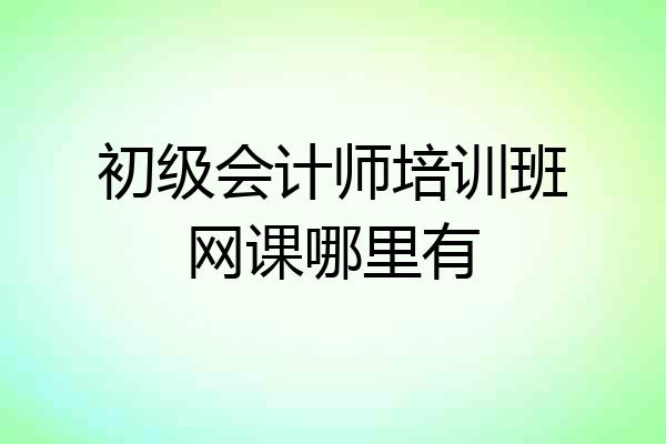 初级会计师培训班网课哪里有