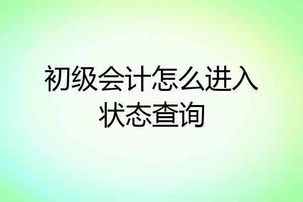 初级会计怎么进入状态查询