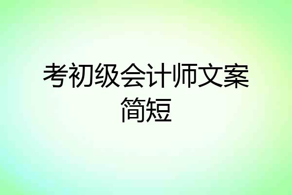 考初级会计师文案简短