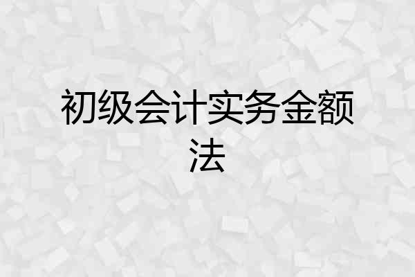 初级会计实务金额法