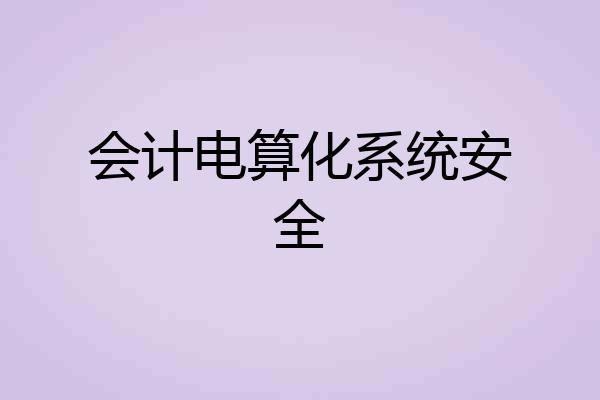 会计电算化系统安全