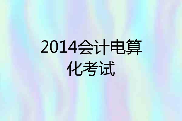 2014会计电算化考试