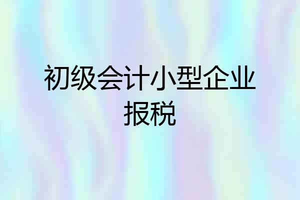 初级会计小型企业报税